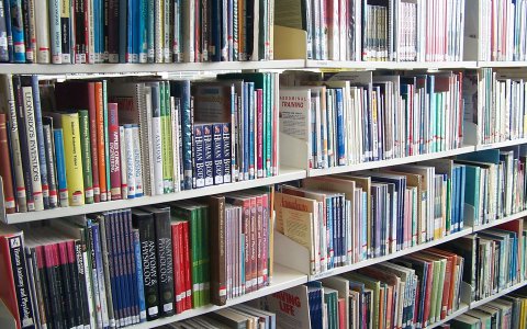 Vzdělávání; Ve všech oblastech, v kterých působíme, pořádáme pravidelná školení pro lékaře a další pracovníky ve zdravotnictví.
